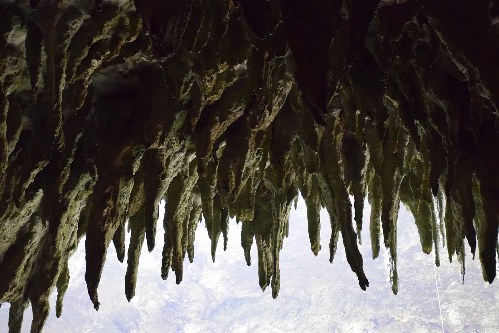 Stalactites inside Río Camuy Cave Park in Puerto Rico