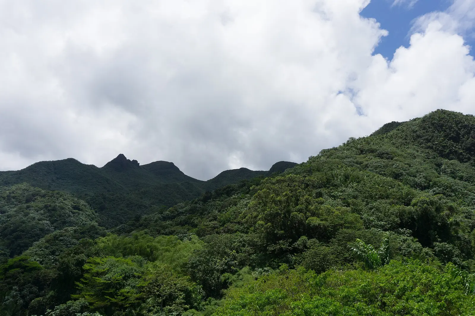 Green mountain landscape of El Yunque viewed from Yokahu Tower