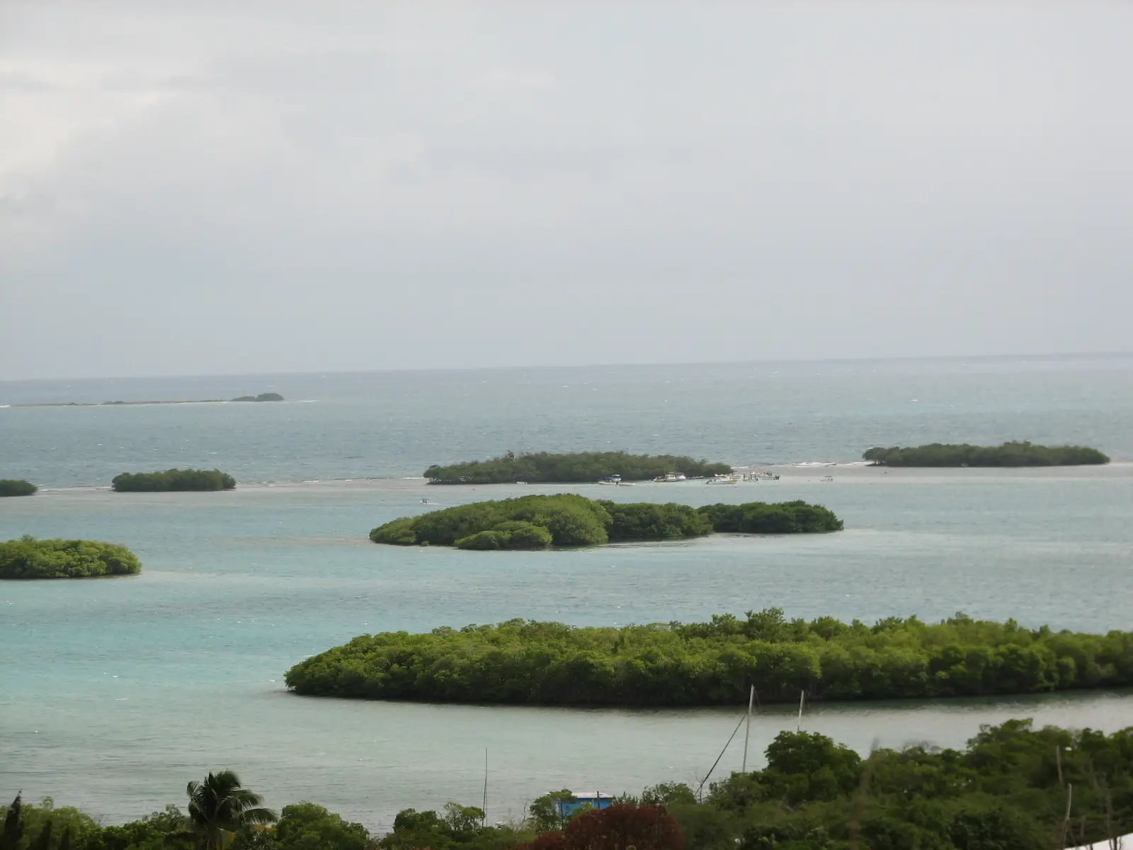 Mangrove islands and coastal water at La Parguera, Puerto Rico