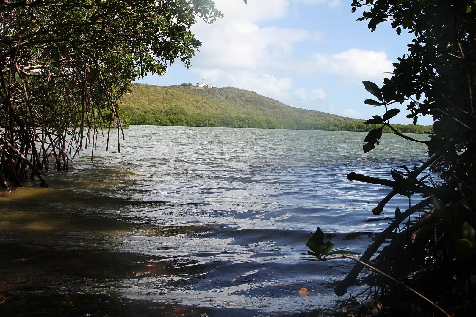 Laguna Grande in the Cabezas de San Juan nature reserve in Fajardo