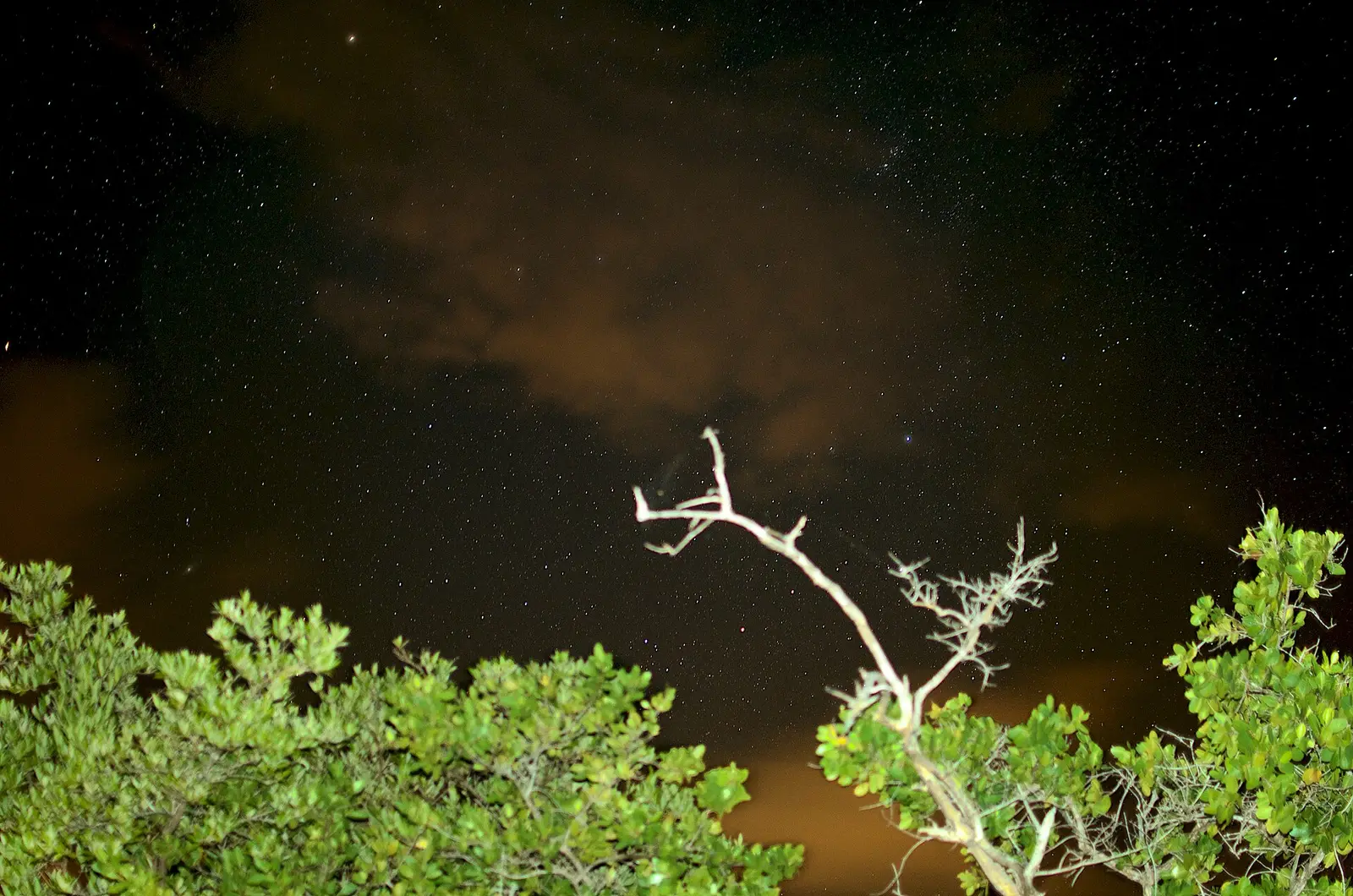 Mosquito Bay on Vieques at night, photographed during a bioluminescent-bay visit