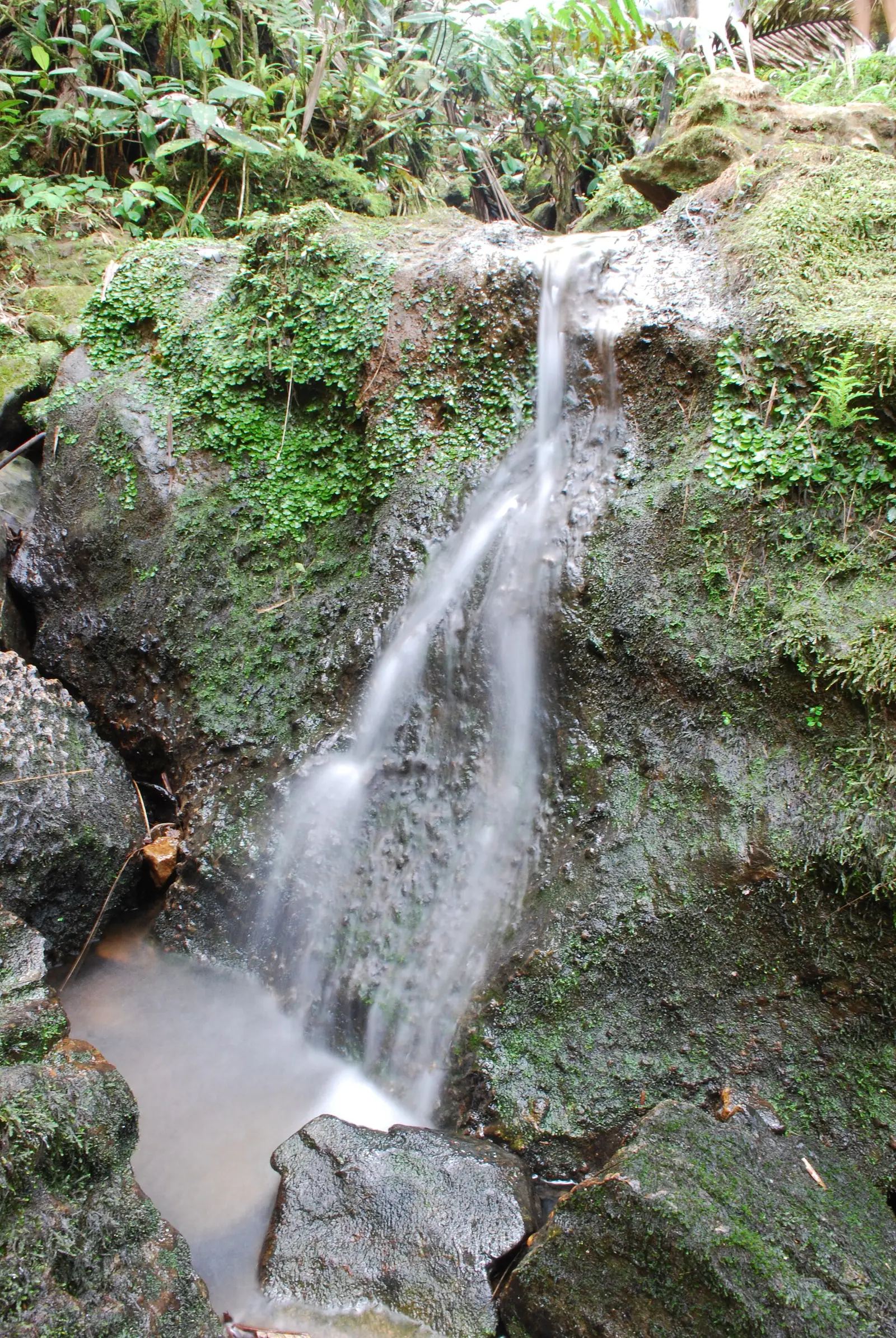 Waterfall surrounded by tropical forest in El Yunque, Puerto Rico