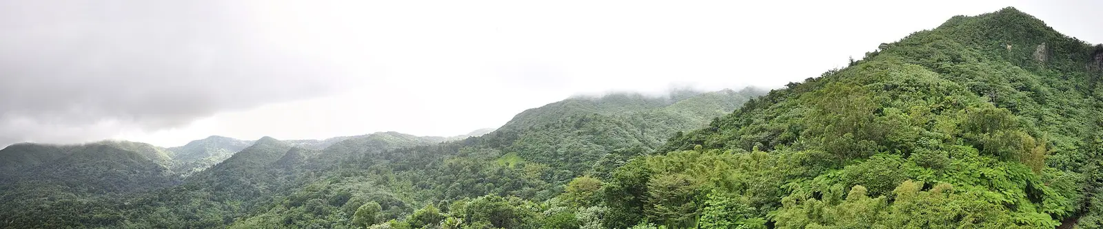 Panoramic rainforest and mountain view in El Yunque, a major day trip from San Juan