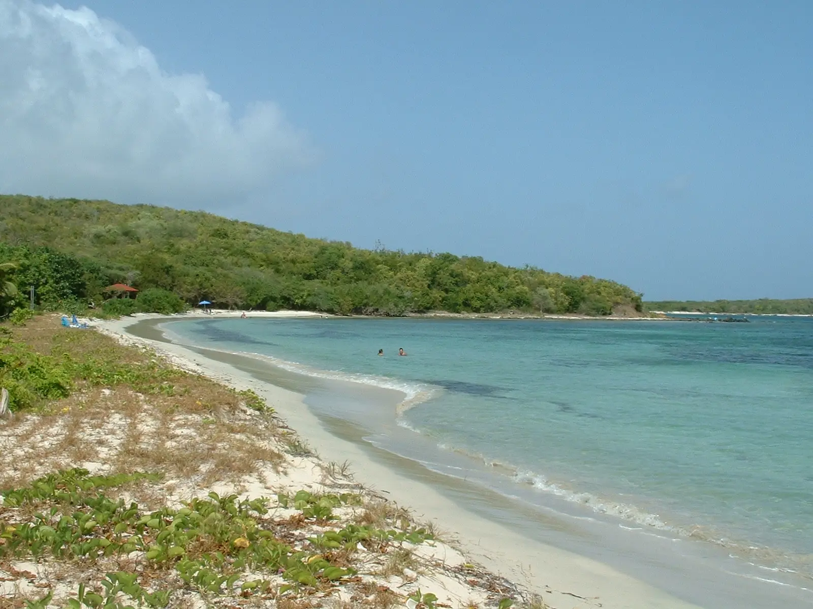 Beach in Vieques National Wildlife Refuge, Puerto Rico